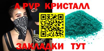 амф Гусев