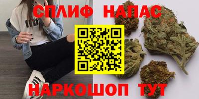 spice Гусиноозёрск